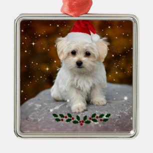 Ornement Carré Argenté Mignonne Noël Père Noël Maltese Chiot