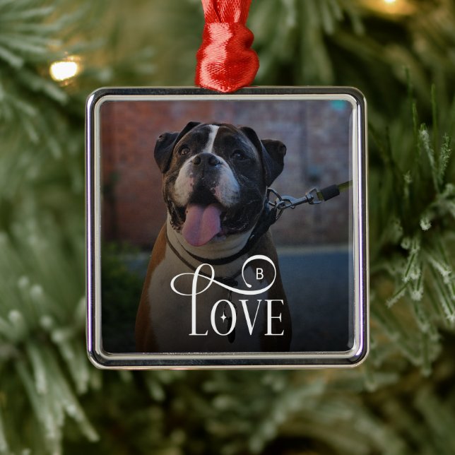 Ornement Carré Argenté Modern Love Custom Dog Pets Photo Monogram (Arbre)