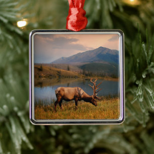 Ornement Carré Argenté Montagnes   Jacques Mountain Range Alberta Canada