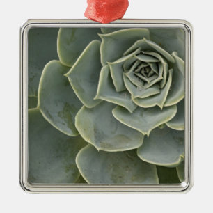 Ornement Carré Argenté Motif de cactus