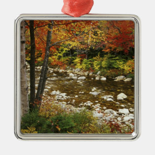 Ornement Carré Argenté N.A., États-Unis, New Hampshire, White Mountains,