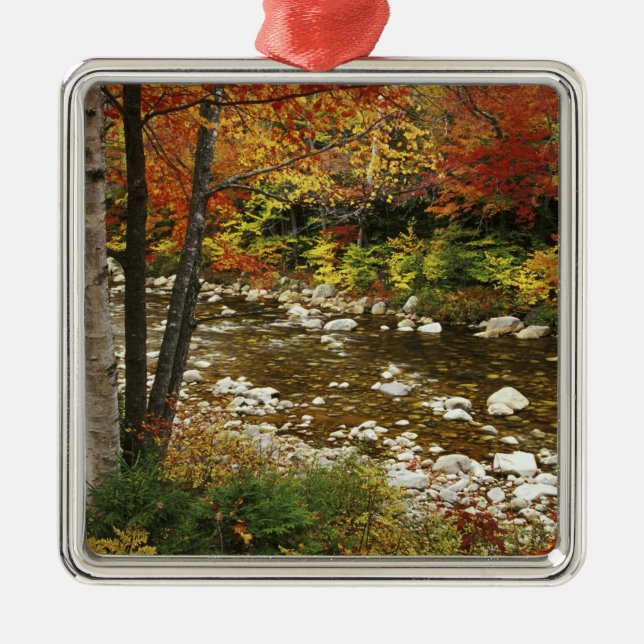 Ornement Carré Argenté N.A., États-Unis, New Hampshire, White Mountains, (Devant)