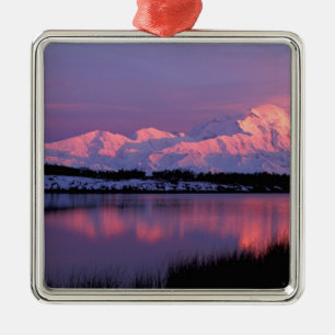 Ornement Carré Argenté NA, États-Unis, Alaska, Parc national Denali, mont