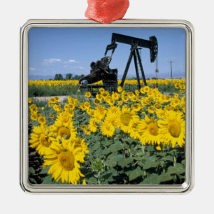 Ornement Carré Argenté Na, États-Unis, Colorado, Tournesols, Derrick de p