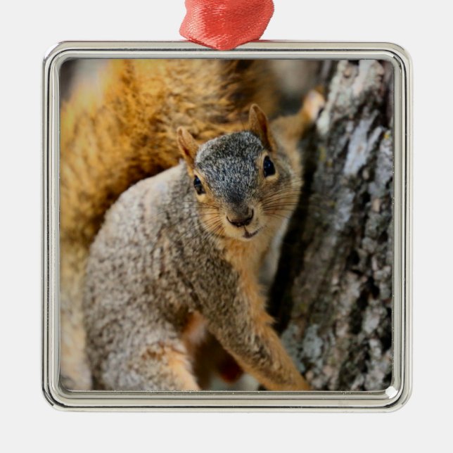 Ornement Carré Argenté Ne viens-tu pas ? (Devant)