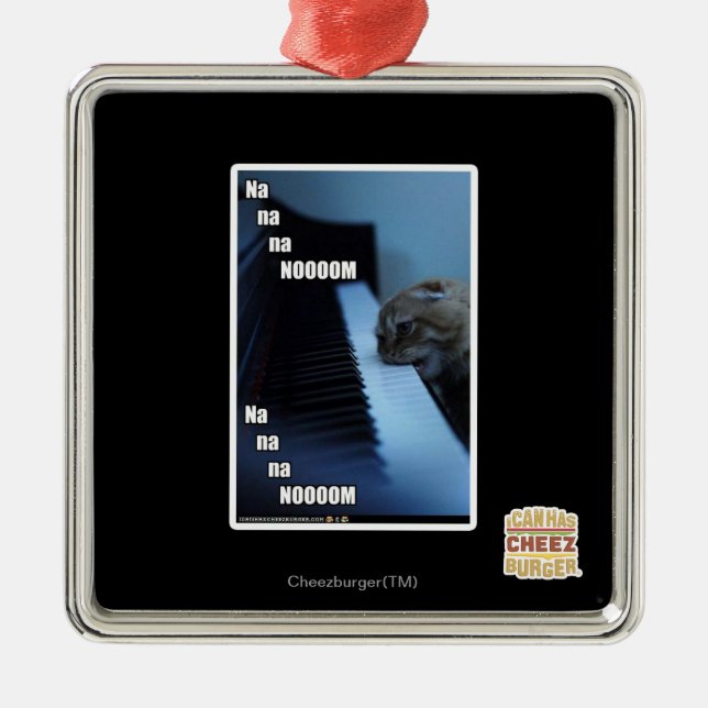 Ornement Carré Argenté Nooom de Na de Na de Na (Devant)