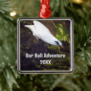 Ornement Carré Argenté Notre aventure à Bali 2026 Art de l'oiseau Bali My