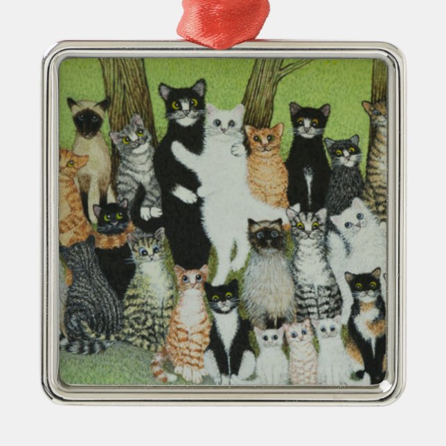 Ornement Carré Argenté Observez la birdie (Devant)