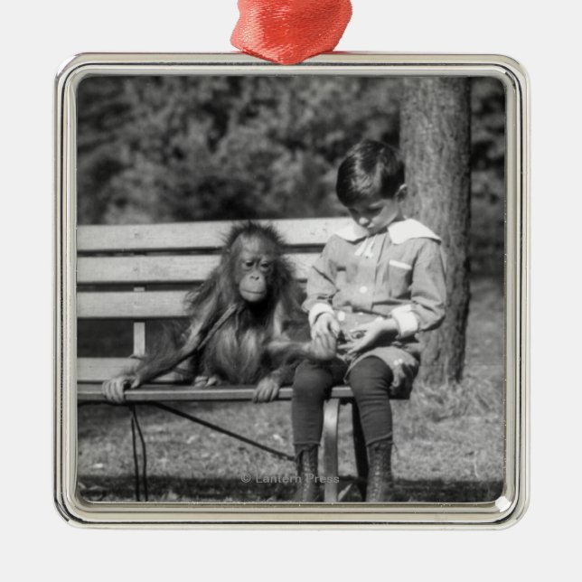 Ornement Carré Argenté Orang-outan et garçon - zoo national (Devant)