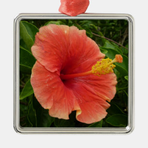 Ornement Carré Argenté Orange Hibiscus Fleur Tropical Floral