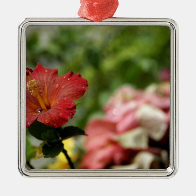 Ornement Carré Argenté Pacifique Sud, Polynésie française, Société 2 (Devant)