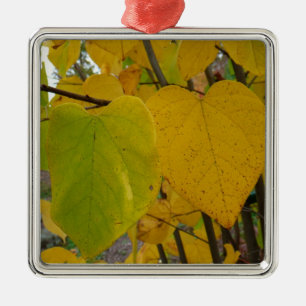 Ornement Carré Argenté Paire de Feuille Redbud Automne  photo d'automne