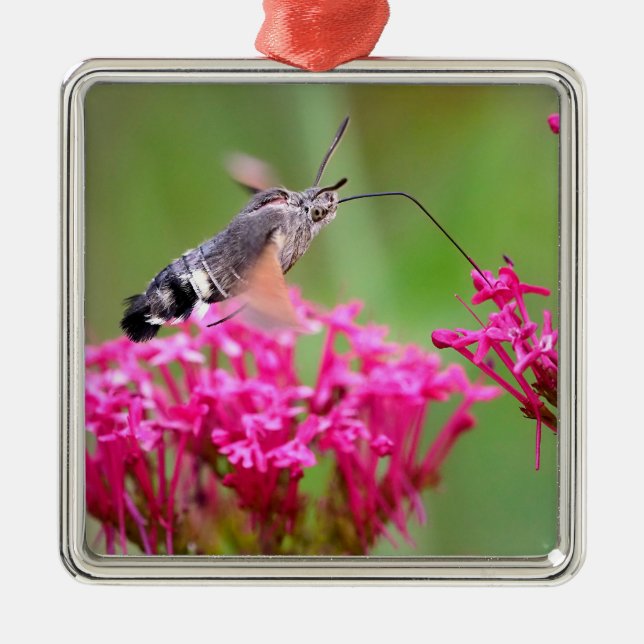 Ornement Carré Argenté Papier d'emballage (Devant)