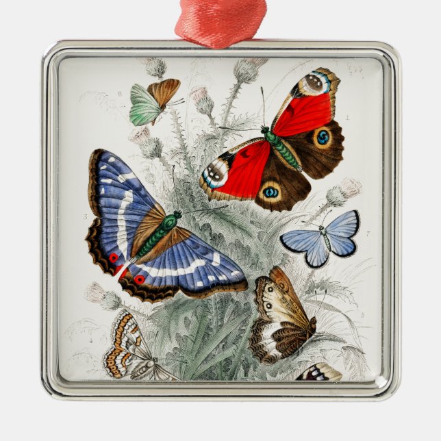 Ornement Carré Argenté Papillons vintages (Devant)