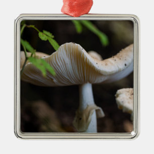 Ornement Carré Argenté Parapluie de champignon vénéneux