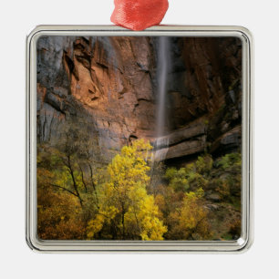 Ornement Carré Argenté Parc national de Zion, Utah.États-Unis Éphémèr