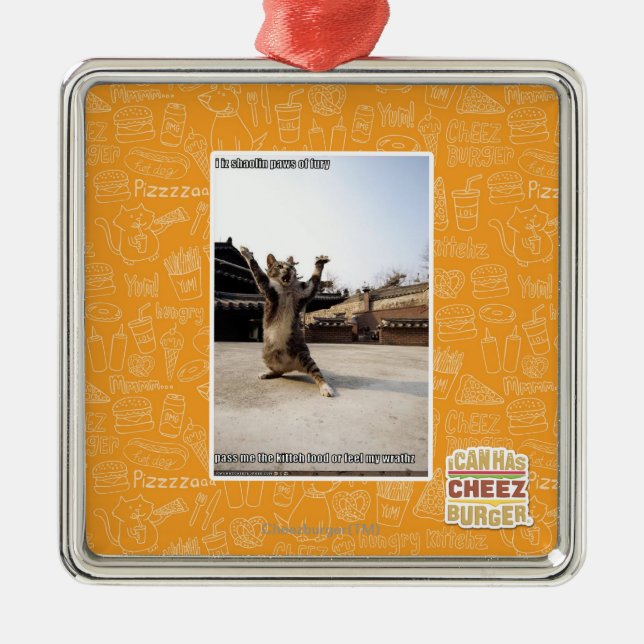 Ornement Carré Argenté Pattes de shaolin de l'iz I de fureur (Devant)