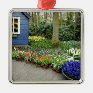 Ornement Carré Argenté Pays-Bas aka Holland), Lisse. Keukenhof 11