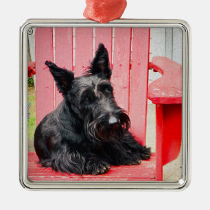 Ornement Carré Argenté Petit Scottie dans un grand fauteuil rouge