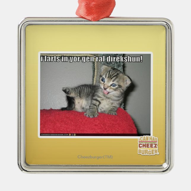 Ornement Carré Argenté Pets I dans le direkshun gen'ral de yor (Devant)