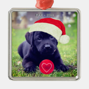 Ornement Carré Argenté Photo de chien noir de Noël personnalisé