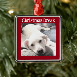 Ornement Carré Argenté Photo du chien mignon Noël Pause Rouge