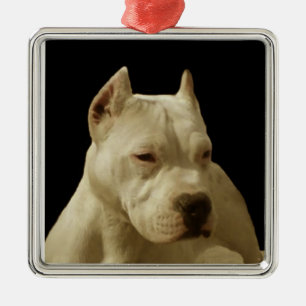 Ornement Carré Argenté Pitbull blanc Terrier