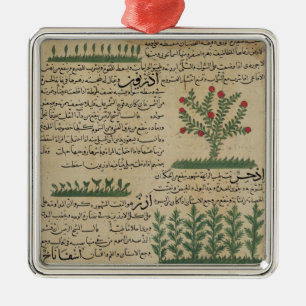 Ornement Carré Argenté Plantes botaniques, illustration de '