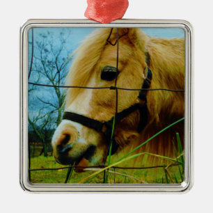 Ornement Carré Argenté Pony miniature blond / Cheval Ciel bleu