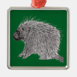 Ornement Carré Argenté Porcupine