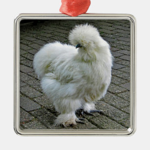Ornement Carré Argenté Poulet blanc Silkie Photo