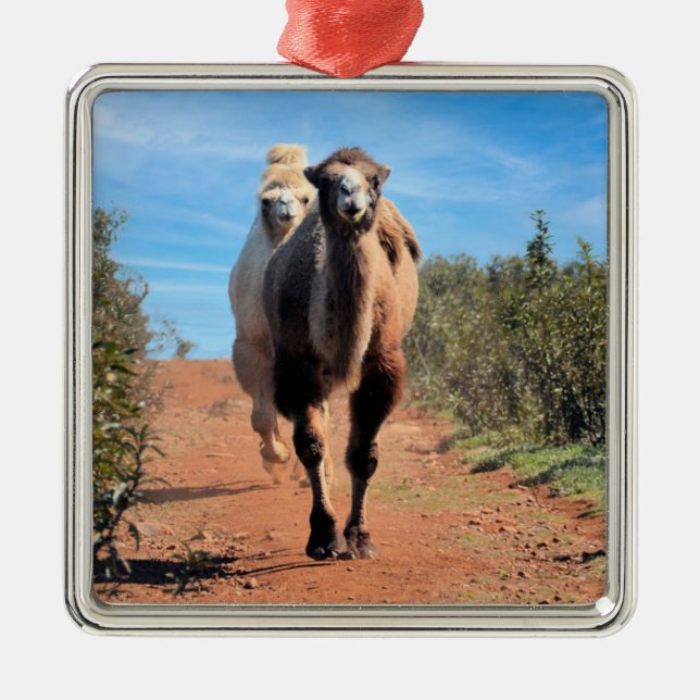 Ornement Carré Argenté Purnimama & Delany (Devant)