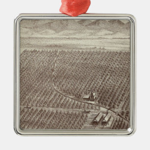 Ornement Carré Argenté Ranch de fruit de Chapin