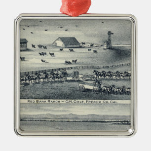 Ornement Carré Argenté Ranches de Cole