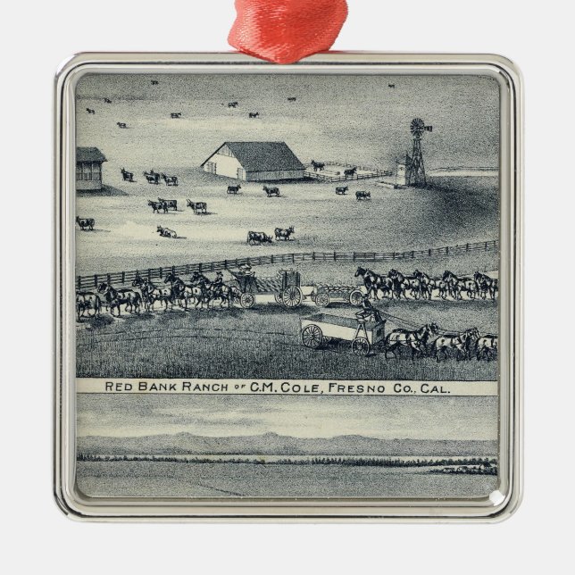 Ornement Carré Argenté Ranches de Cole (Devant)