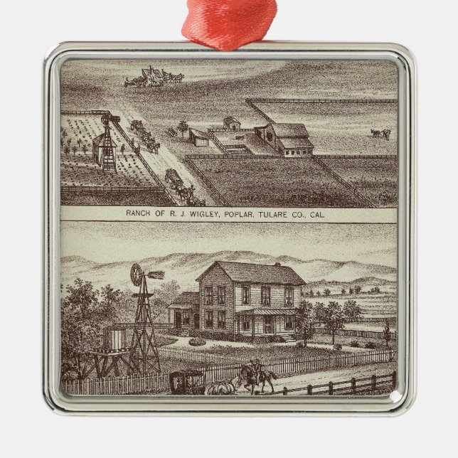 Ornement Carré Argenté Ranchs de peuplier (Devant)