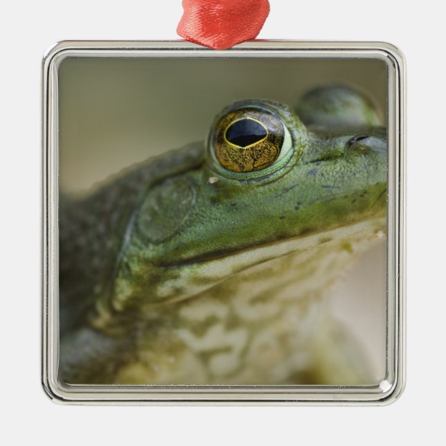 Ornement Carré Argenté Rivière nationale de Bufallo, Arkansas Nord-Ouest (Devant)