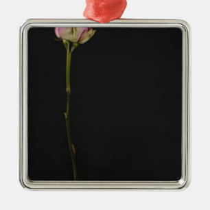 Ornement Carré Argenté Rose 3 de rose