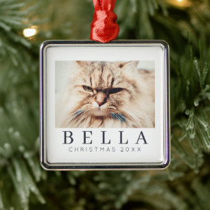 Ornement Carré Argenté Simple Moderne Chic Personnalisé Famille Animaux d