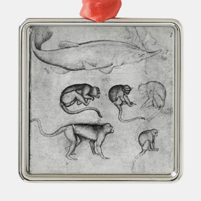 Ornement Carré Argenté Six singes et un esturgeon (Devant)