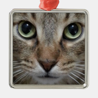 Ornement Carré Argenté Tabby Chat Brown