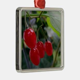 Ornement Carré Argenté Taches rouges d'automne