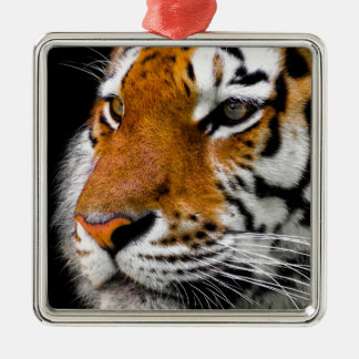 Ornement Carré Argenté Tigre