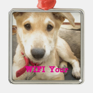 Ornement Carré Argenté Tu Devrais WIFI Ton Amour Tous Les Jours