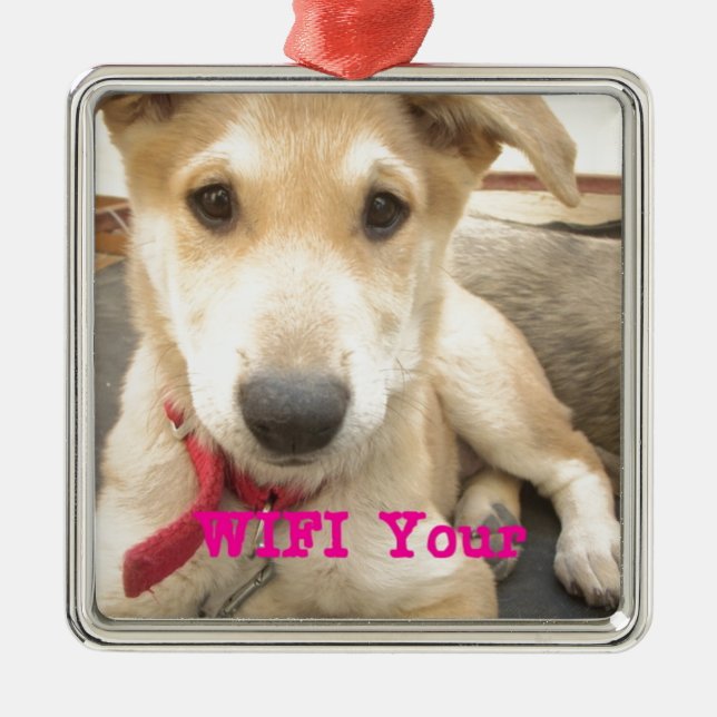 Ornement Carré Argenté Tu Devrais WIFI Ton Amour Tous Les Jours (Devant)