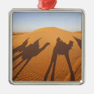 Ornement Carré Argenté Tunisie, Ksour Area, Ksar Ghilane, Grand Erg 5