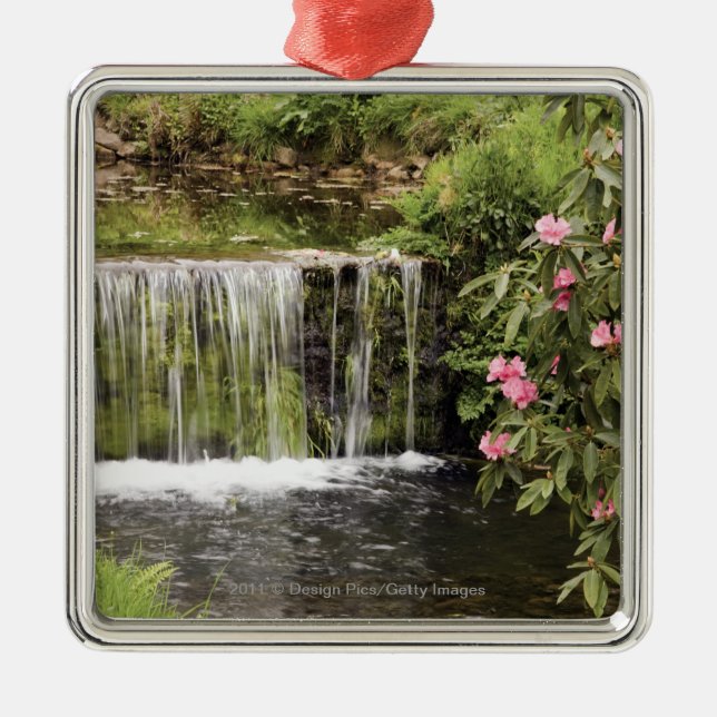Ornement Carré Argenté Un courant et une cascade en parc national de (Devant)