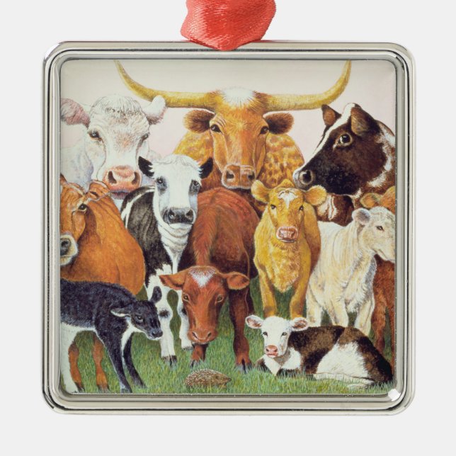 Ornement Carré Argenté Un étranger étonnant (Devant)