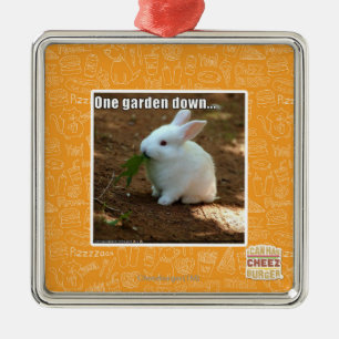 Ornement Carré Argenté Un jardin Down�
