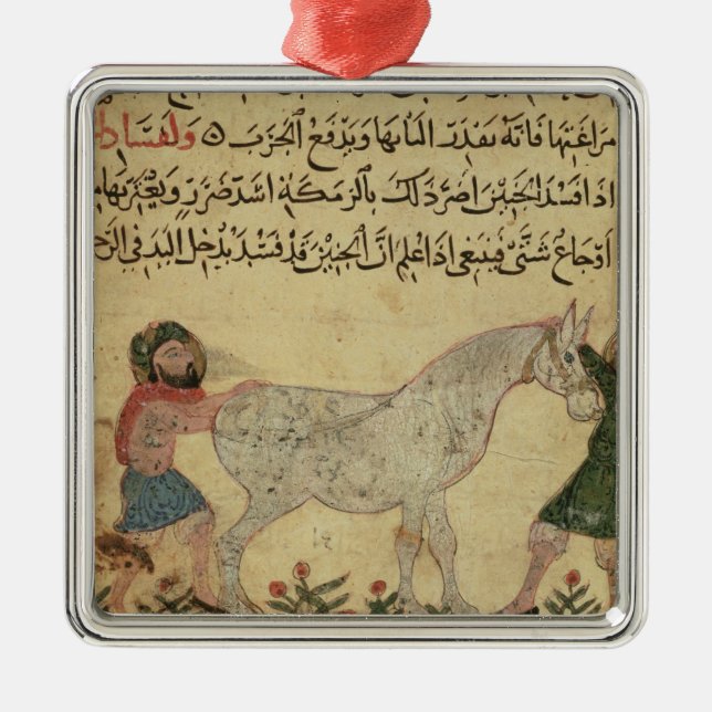 Ornement Carré Argenté Un vétérinaire aidant une jument à donner (Devant)